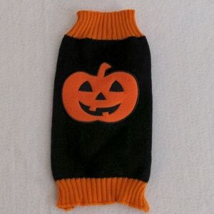 Small Pet Halloween Costume